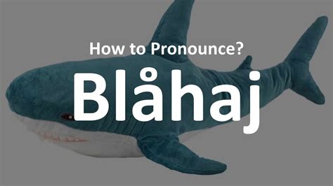 how to pronounce blahaj